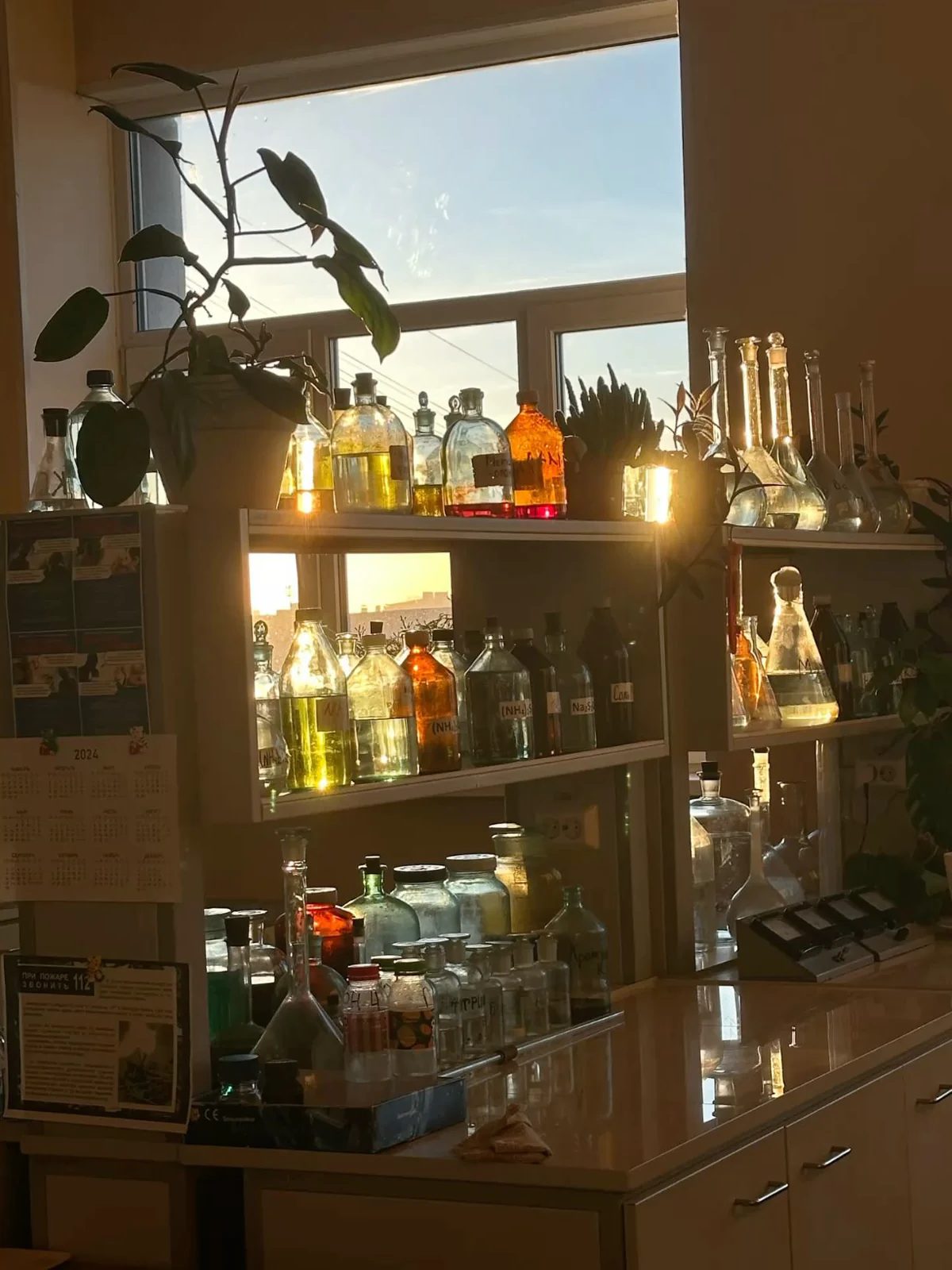 Formulation workspace with botanical extracts and laboratory glassware