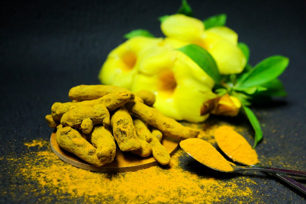 Ayurvedic medicinal herbs
